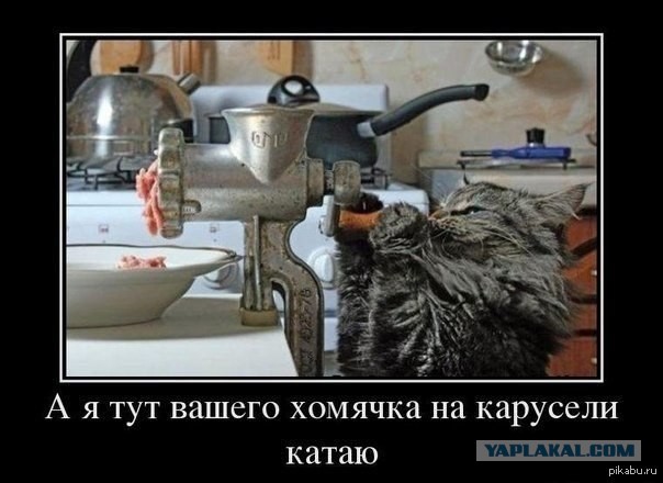 Самураи средней полосы