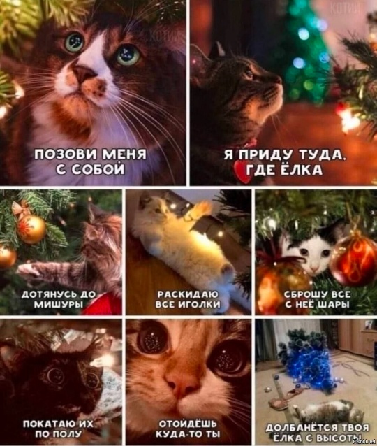 Веселые картинки