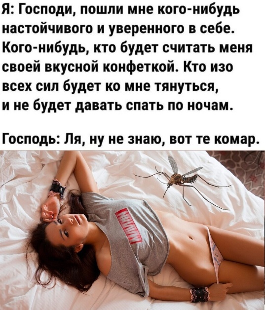 Так себе картинки 04.06.24