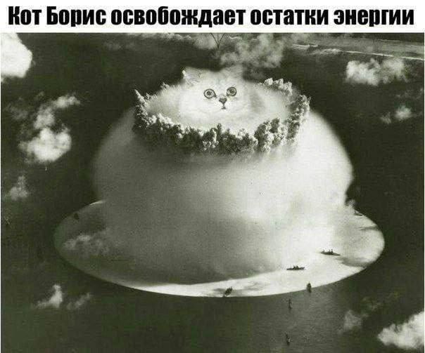 Никакие картинки и тексты