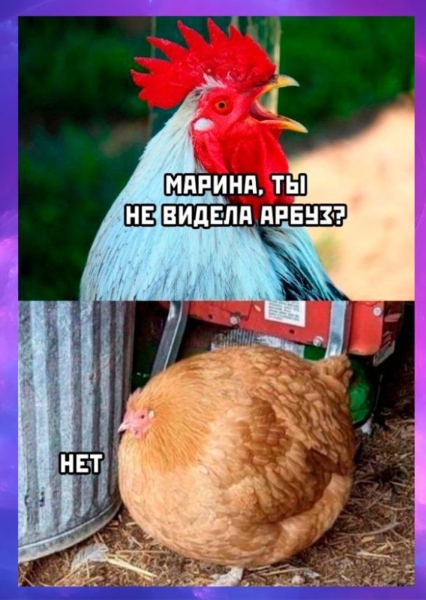 Завалялось тут случайно немного забавных картинок