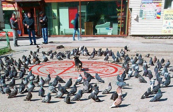 Картинки разные, возможны баяны