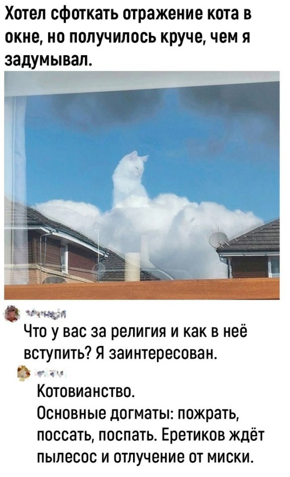 Так себе картинки 22.11.24