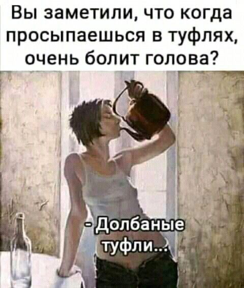 Весёлый полтишок 23.01.25