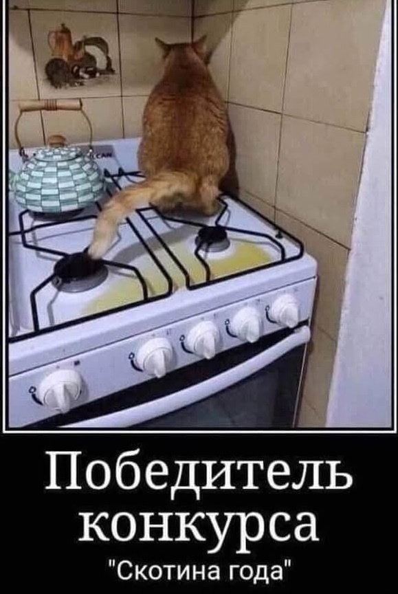 Так себе картинки 12.03.25