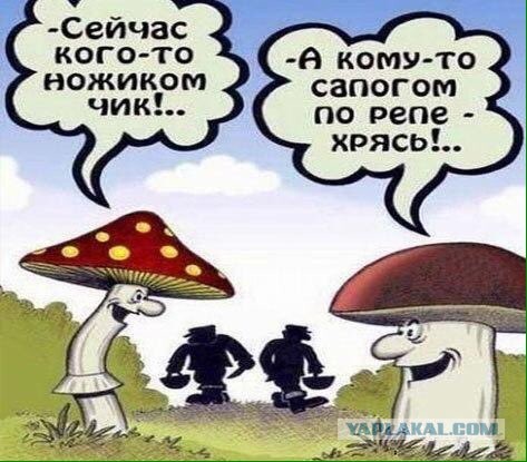 Грибочки