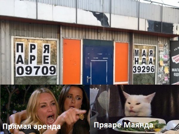 Знаменитый кот 2