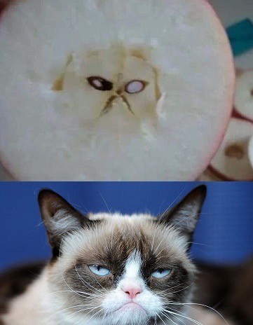 Веселое настроение в картинках 27.07.25