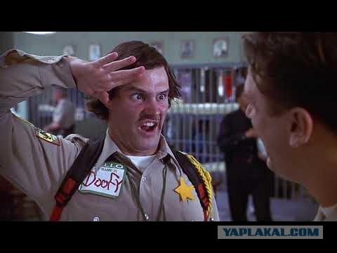 Зумеры не хотят заниматься сексом.