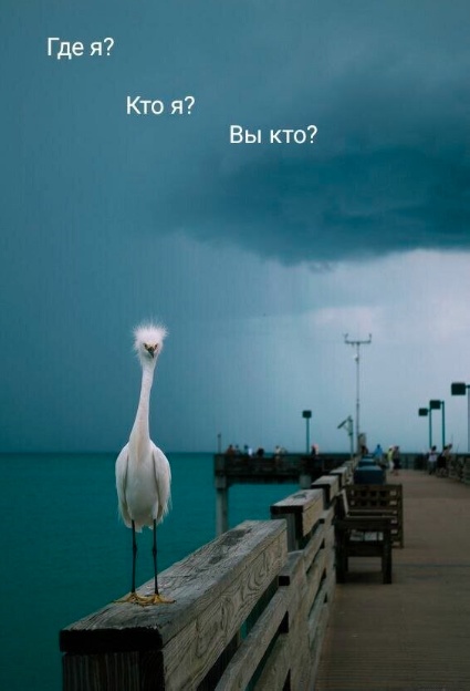 Так себе картинки 14.09.25