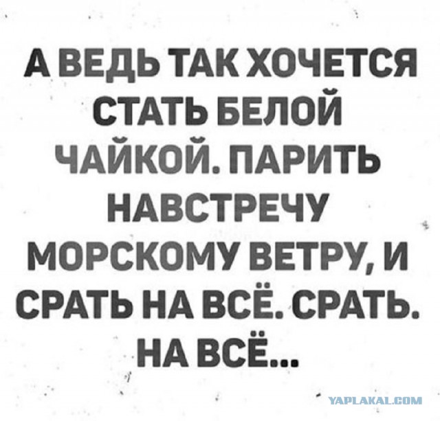 Баянистой пост