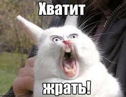 Кто ответственный за Котовторники?