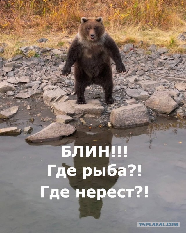 Как бы вы назвали это фото?