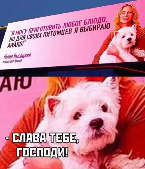 Картиночки, баянчики 12 марта