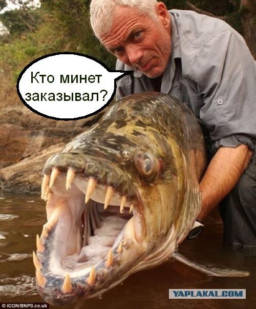 Ужасы морей и океанов