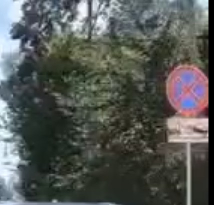 Наказал за парковку на встречной полосе