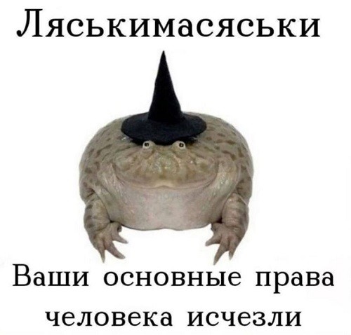 Мозг утерян безвозвратно, мы танцуем прикроватно!