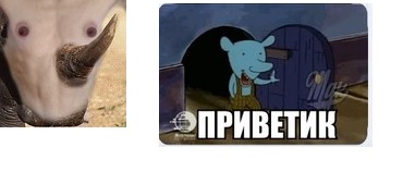 Немного упоротой эротики из соцсетей