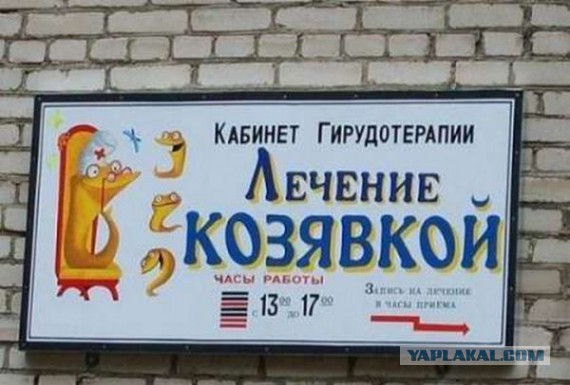 Маразмы года 2013