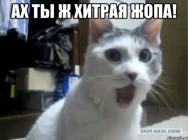 Жена кухарка и муж подкаблучник
