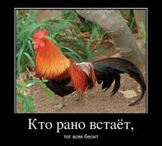 Чёрт, чёрт, чёрт!