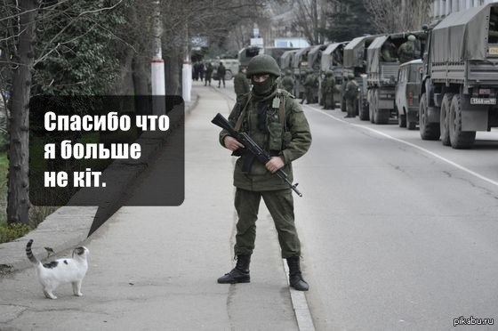 Кит детей пугает