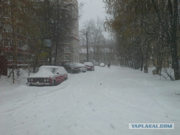 Дай папиросочку, у тебя