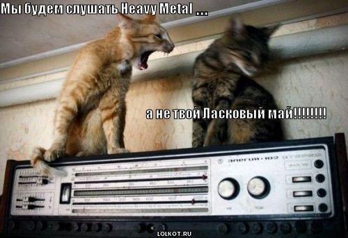 Смешные картинки