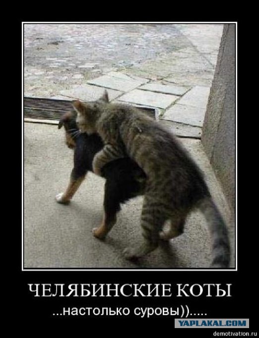 Бурятские позы.