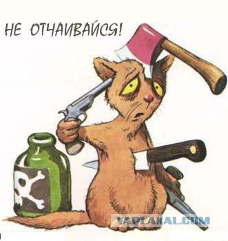 Тёща приехала!