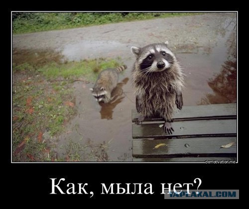 Весёлое из сети