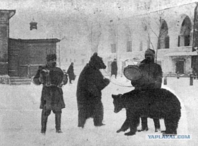 "Типичный" украинец