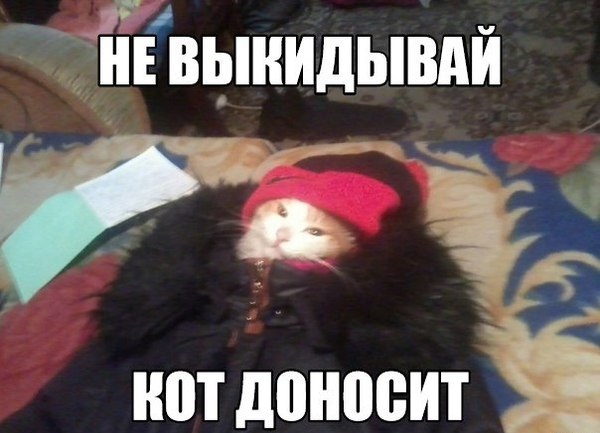 Смешные картинки и комментарии из сети