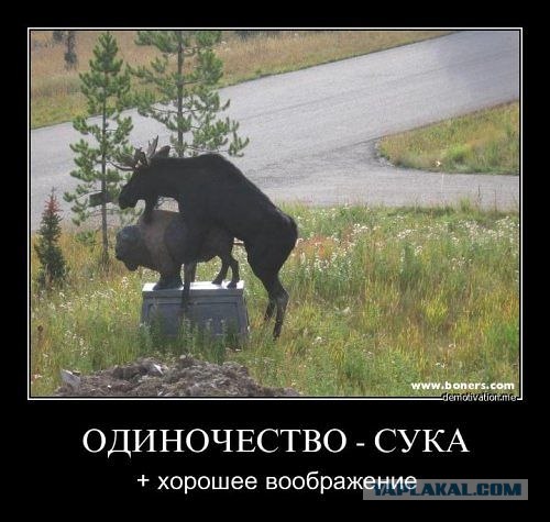 А ведь правда!