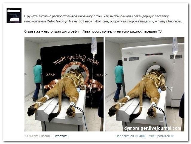 Подборка картинок из соцсетей
