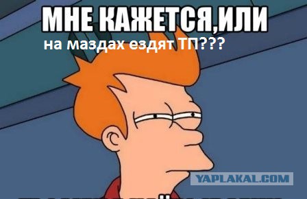 Автоледи в Питере устроила замес