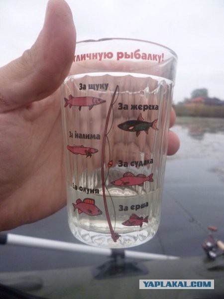Ура! Сегодня трезвая пятница!