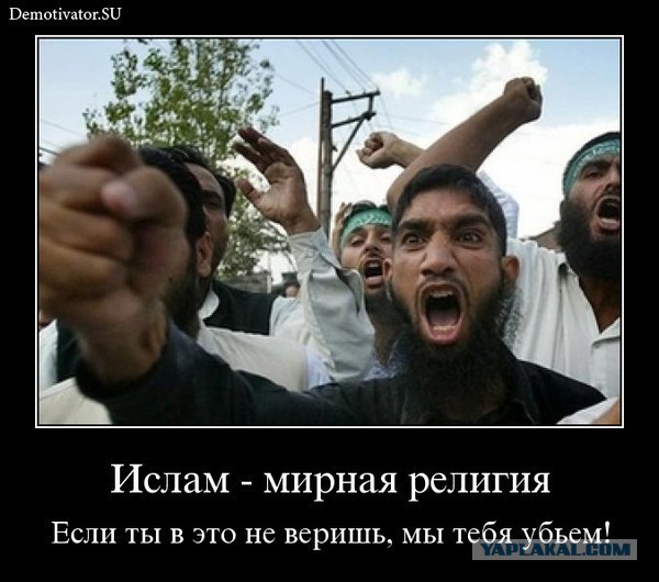 Мигранты продолжают атаки в Кале