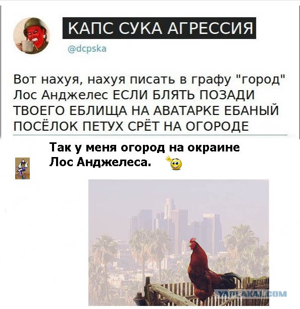 Смешные комментарии из соц. сетей 28.10.15