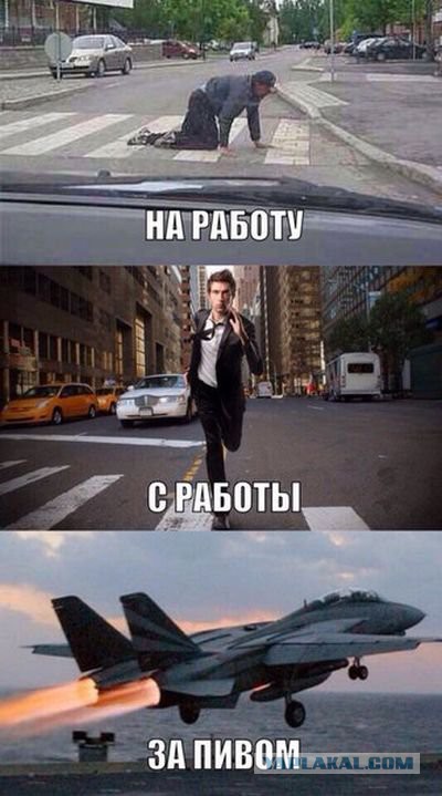 Подборка веселых картинок