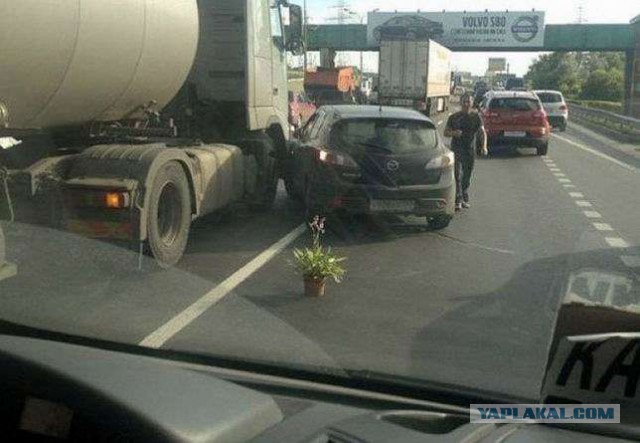 Картинки разные с просторов