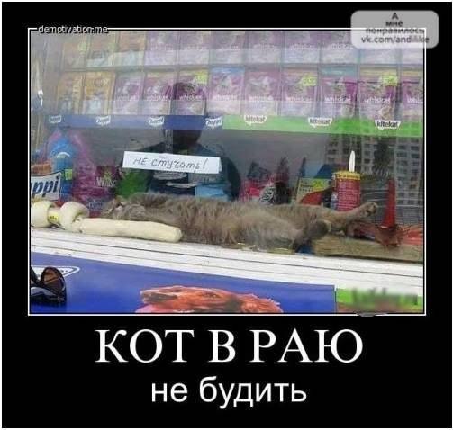 Подборка Картинок из сети