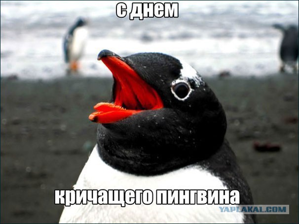 Антивалентинки