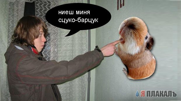 фотожаба "ПАЛЕЦ"