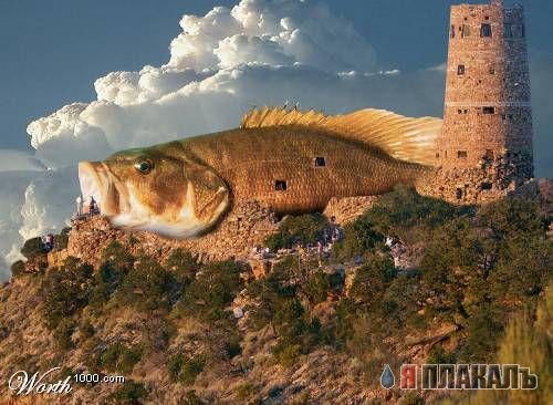 ФОТОЖАБНАЯ АРХИТЕКТУРА