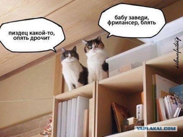 Бразилианки