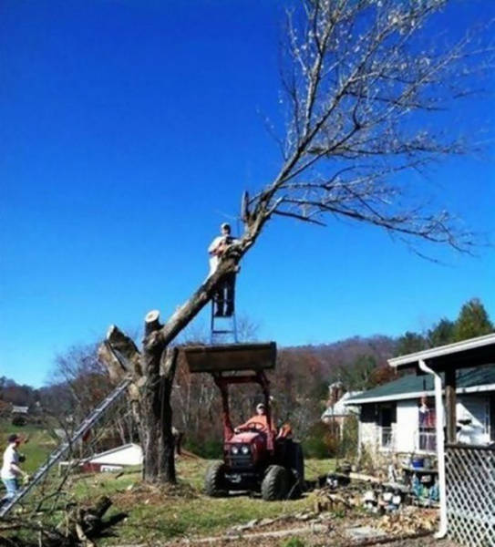 Крутые фотографии, которые получились в нужный момент