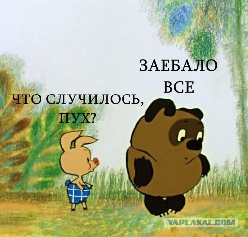 Немного картинок и гифок.