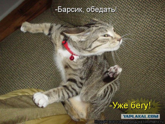 Пойдем братан, нам покушать принесли