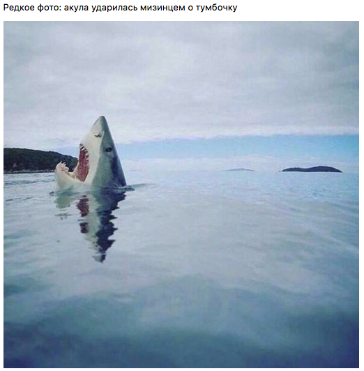 Смешные картинки с надписями